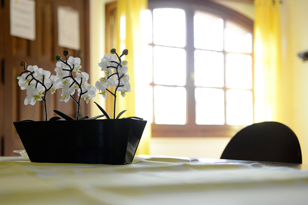 Apartamentos Bellavista Alquézar Room photo